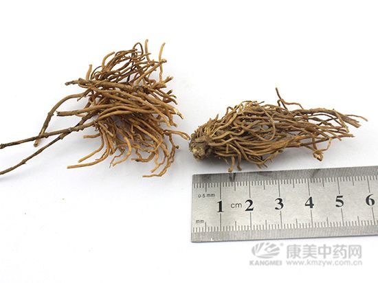 徐長卿的鑒別方法