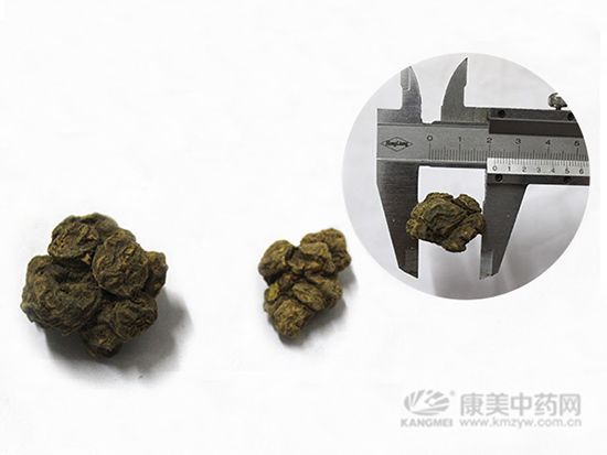 夏天無(wú)的鑒別方法
