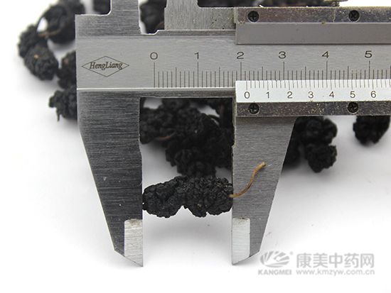 桑椹的鑒別方法