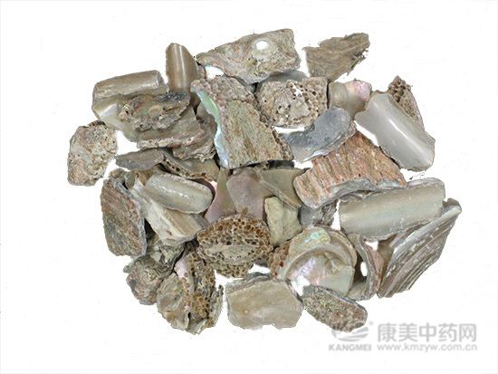 石決明的鑒別方法