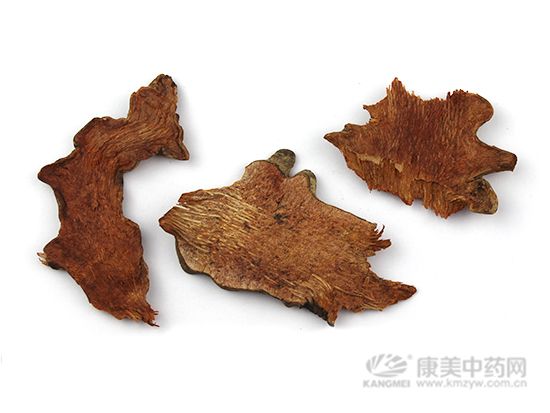 菝葜，夏季最好的祛濕良藥