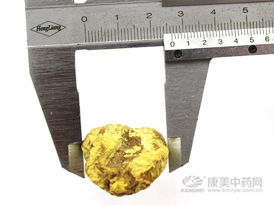 金果欖的鑒別方法