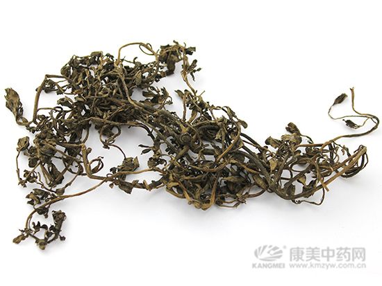 馬齒莧的鑒別方法