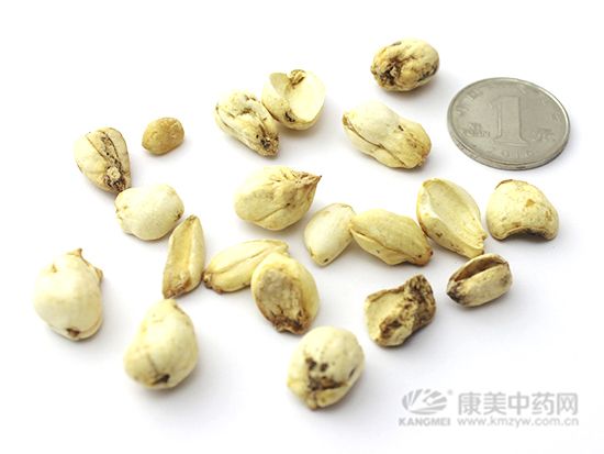 伊貝母的鑒別方法