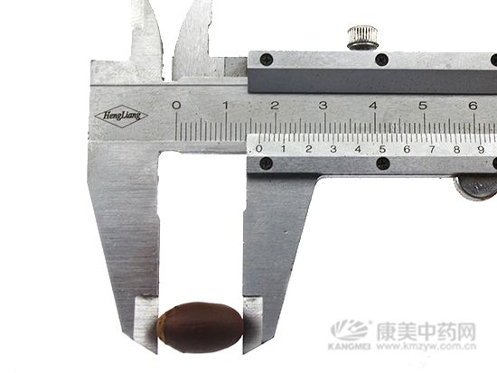 荔枝核的鑒別方法