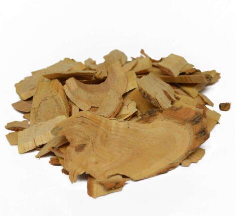接骨木的炮制方法與臨床應(yīng)用