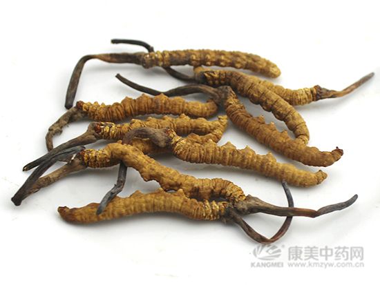 吃冬蟲夏草的三大誤區(qū)