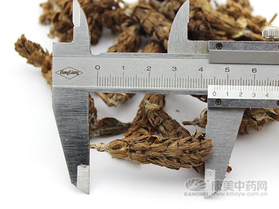 夏枯球的鑒別方法