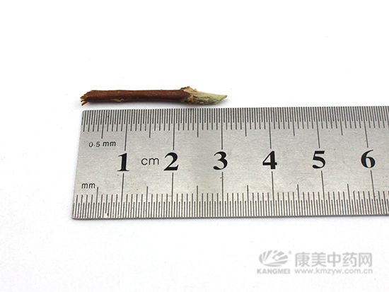忍冬藤的鑒別方法