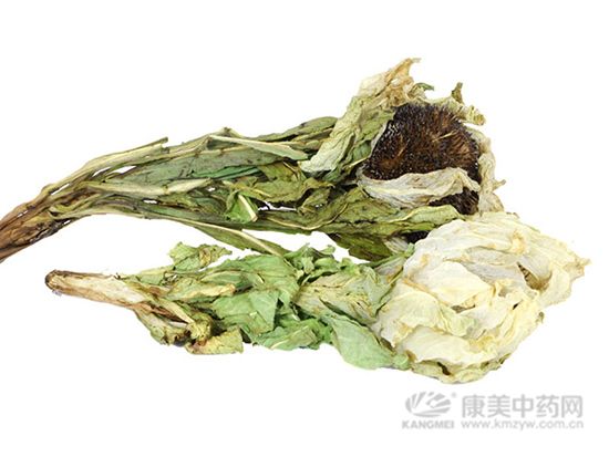 天山雪蓮的鑒別方法