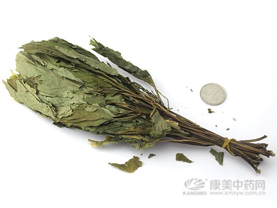 人參葉的鑒別方法