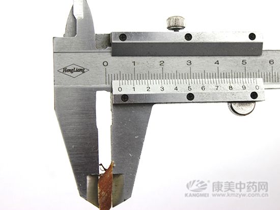 桑枝的鑒別方法