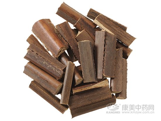 棕櫚的鑒別方法