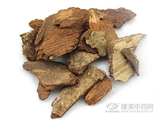 地楓皮的炮制方法與臨床應(yīng)用
