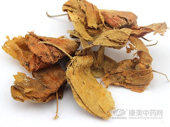 錦燈籠的炮制方法與臨床藥方
