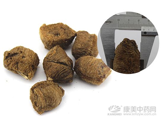 桑螵蛸與海螵蛸有何不同？