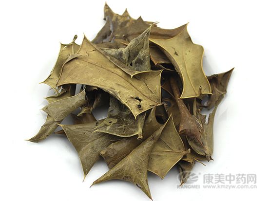 枸骨葉的鑒別方法
