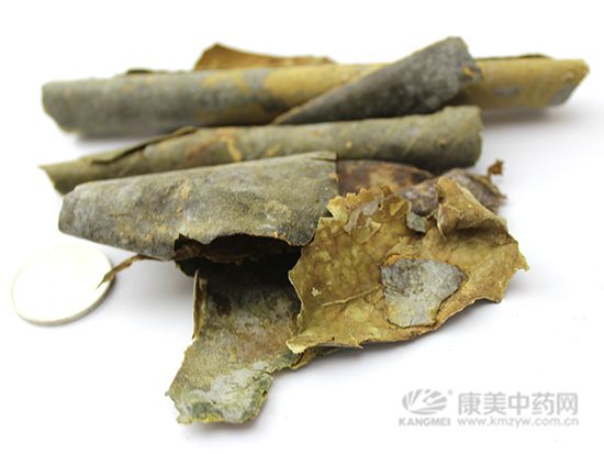 冬瓜皮的鑒別方法