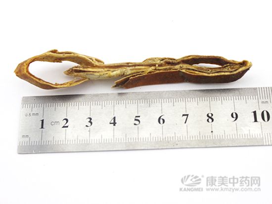 瓜蔞皮的鑒別方法