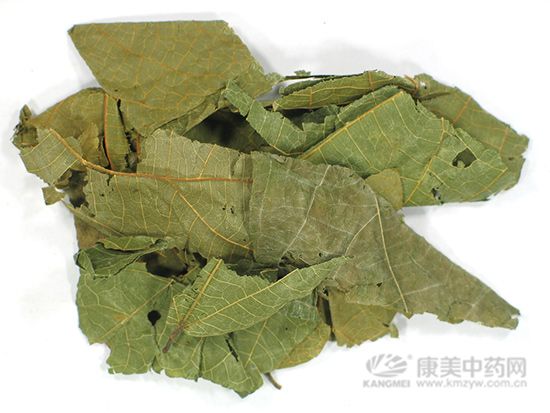 0794-布渣葉-001