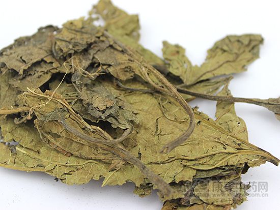 桑葉的鑒別方法