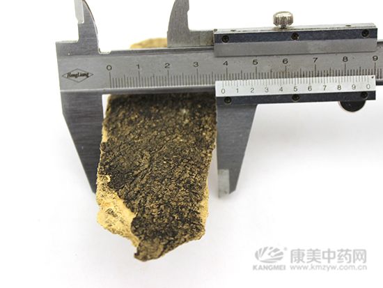 椿皮的鑒別方法
