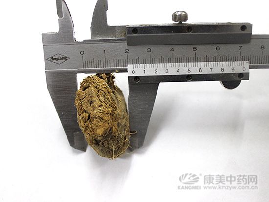 藕節的鑒別方法
