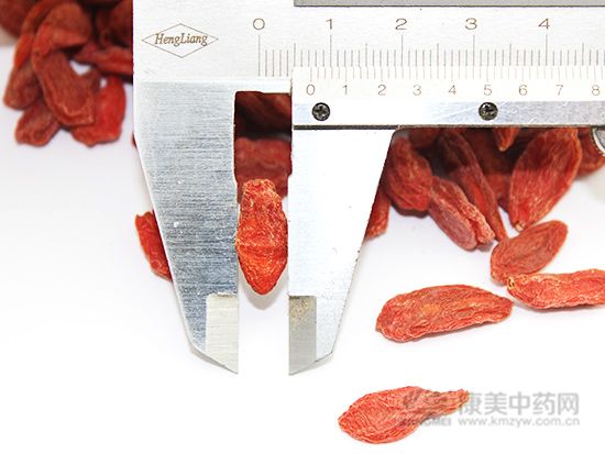 蒲公英即將產新，注意3類人不宜吃！