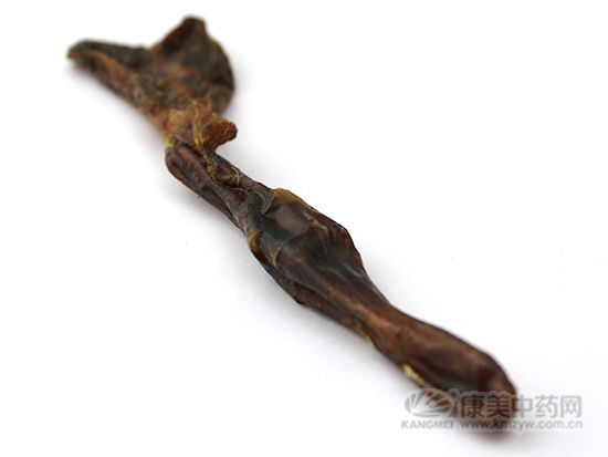 狗鞭的炮制方法與作用