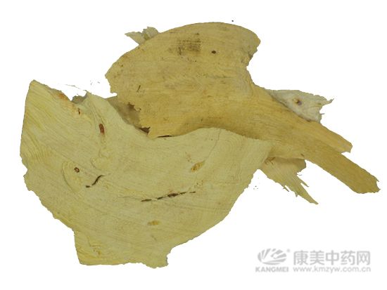 五指毛桃的炮制方法與臨床應用