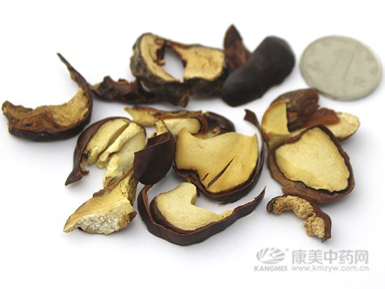 娑羅子的鑒別方法