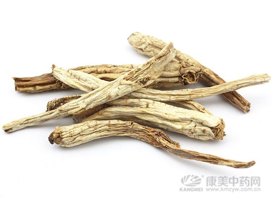 桔梗：紫花白身俏模樣 宣肺祛痰助開嗓