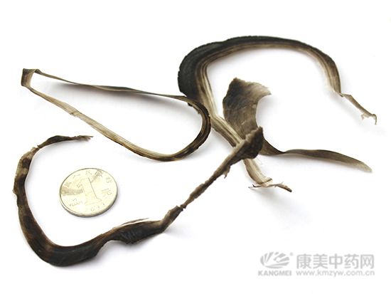 水牛角的鑒別方法