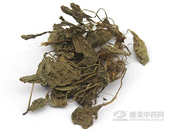車前草的鑒別方法
