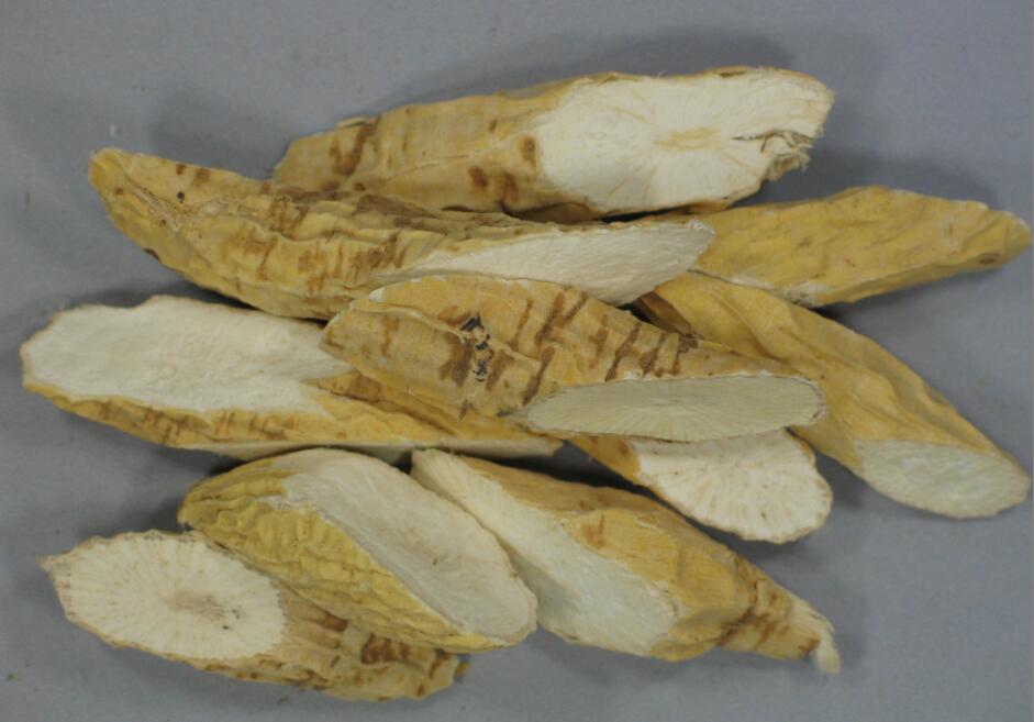 牛大力3款養生湯，潤肺、強筋！