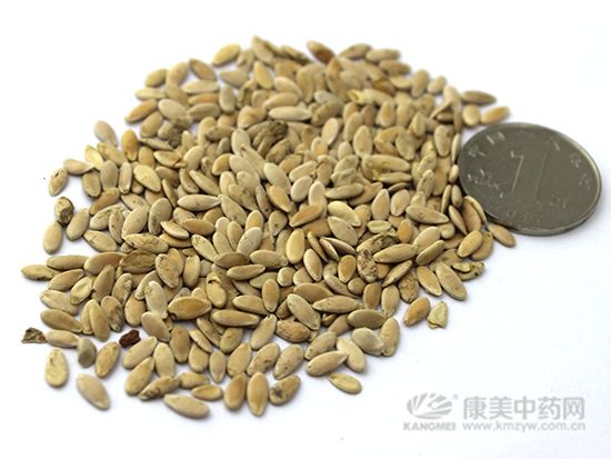 甜瓜子的鑒別方法