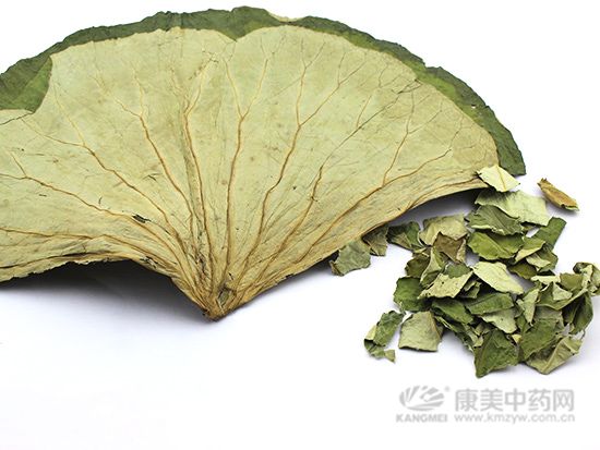 荷葉的鑒別方法