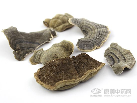 云芝的鑒別方法