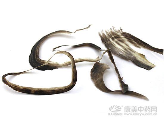 水牛角的鑒別方法