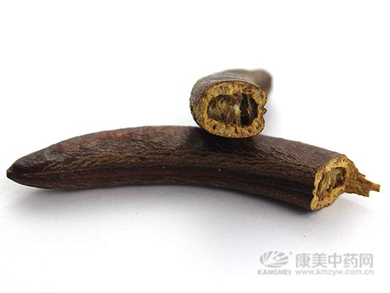 豬牙皂的鑒別方法